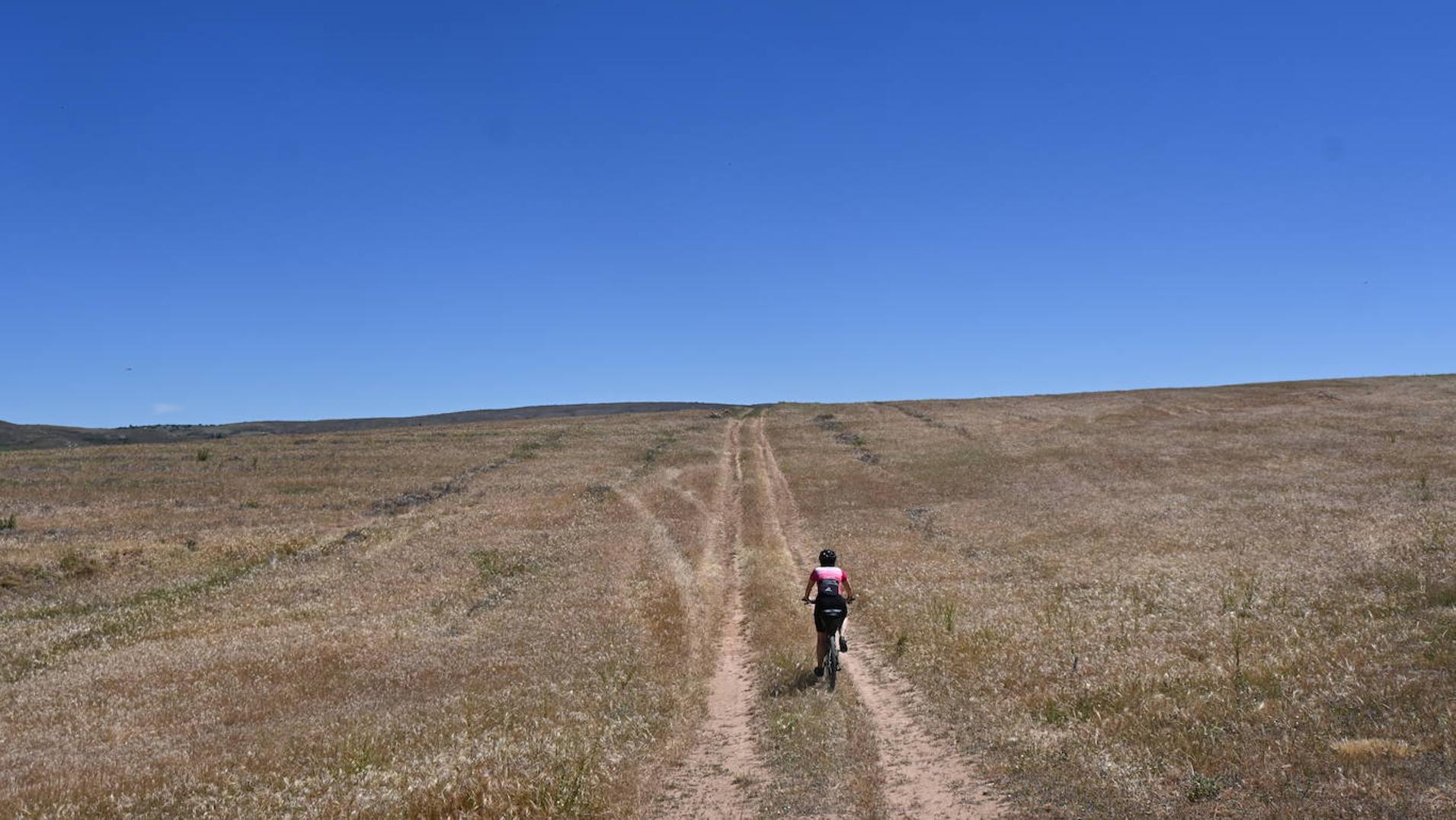 Del destierro a las tierras de frontera