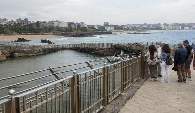 Un año más de pescado para las focas del minizoo de La Magdalena