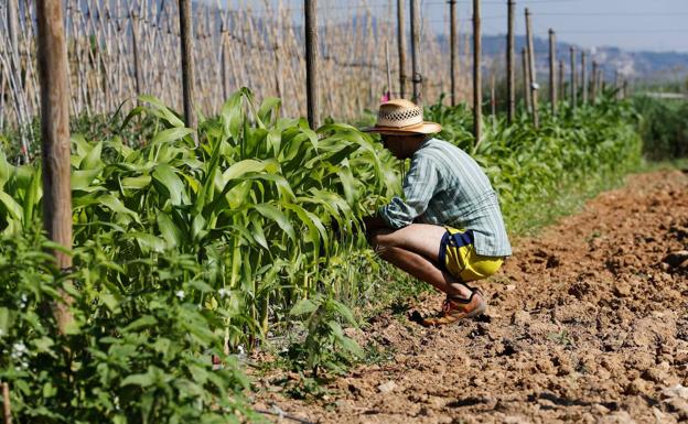 Praves albergará una planta de biometano y fertilizantes producidos con purines
