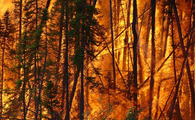 Aún podemos influir en cómo y dónde se producen los incendios