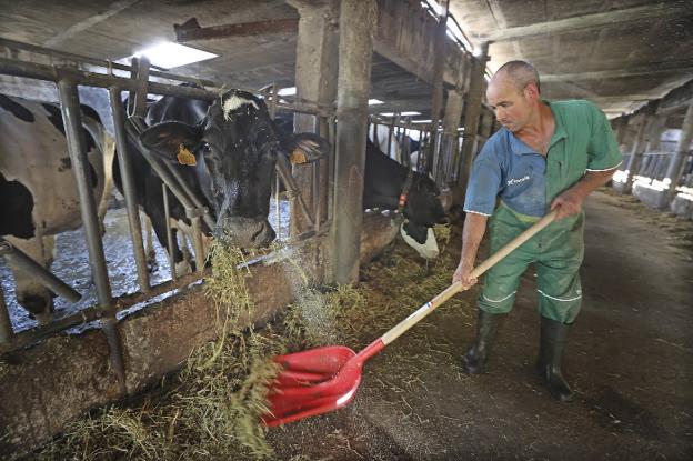 La UE apuntala los 5 años de prescripción para reclamar por el 'cártel de la leche'