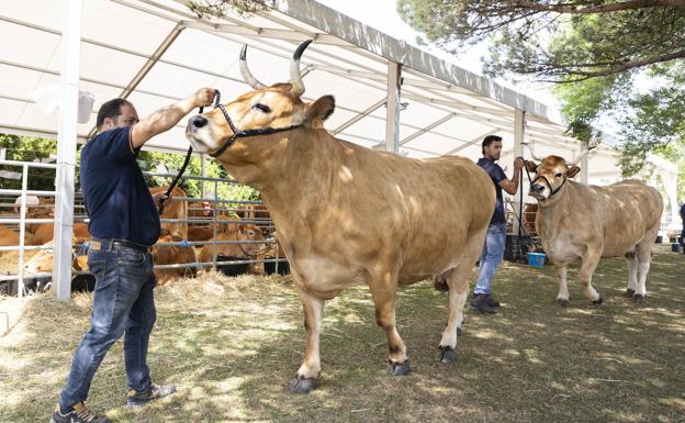 «Es necesario conectar la ciudad con el campo»