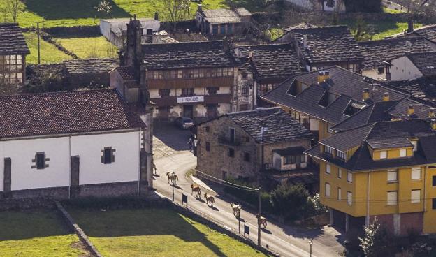 Cultura compra la casa del doctor Madrazo en Vega de Pas para hacer un museo