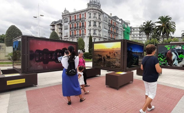 Naturaleza en estado puro en la muestra 'de polo a polo', en Castro
