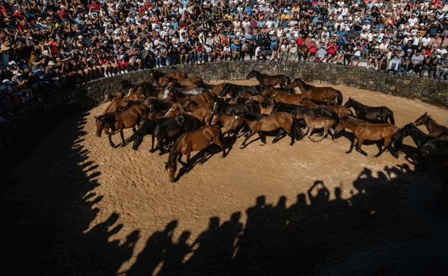 «Europa es cada vez más un parque temático, pero Galicia es genuino», se felicitan los alemanes Klaus Joas y Chris Penkwitt