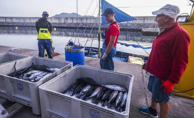 «La costera del bonito está siendo una de las más ralentizadas de los últimos años»
