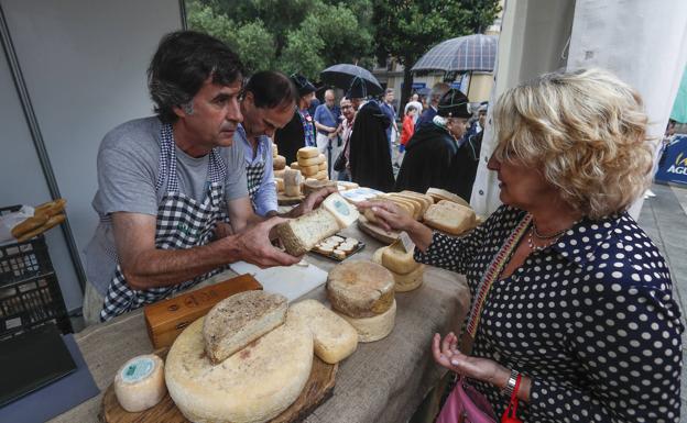 De queso en queso por la Plaza de Pombo de Santander