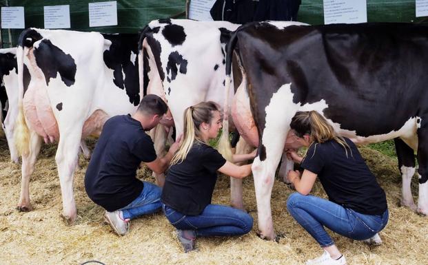 Los ganaderos de Cantabria vuelven a pedir un «precio justo» de la leche ante el alto coste de producción