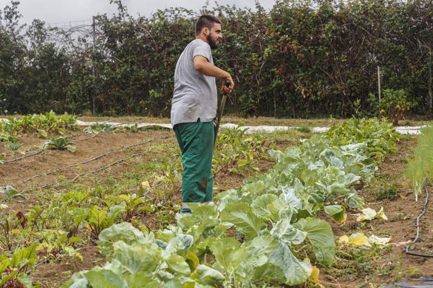 Ampros. Centro de Interpretación de la agricultura y la alimentación saludable