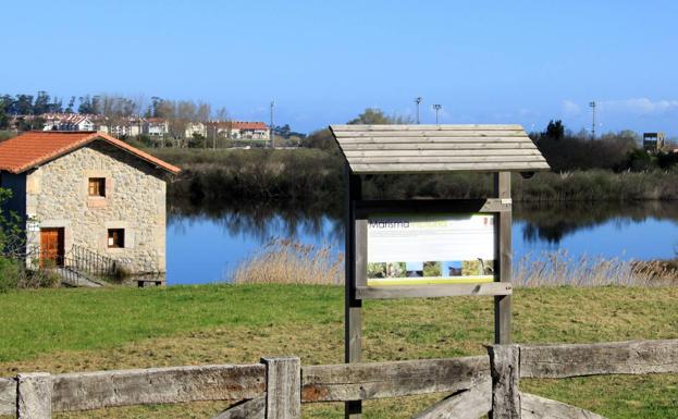 La Marisma Victoria de Noja acoge la quinta campaña de anillamiento científico de aves hasta octubre