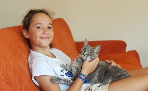 Aparece Chica, la gata de la familia francesa que desapareció en julio