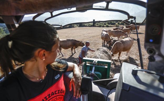 Gobierno y ayuntamientos piden a los ciudadanos un «consumo responsable» de agua por la sequía