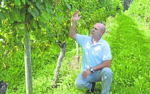 Los vinos blancos de Cantabria crecen en visibilidad y calidad