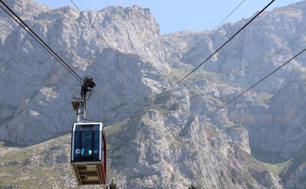 Turismo permitirá el acceso de mascotas al teleférico de Fuente Dé y a la telecabina de Cabárceno