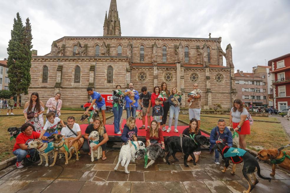 La lluvia no pudo con la jornada de adopción de animales