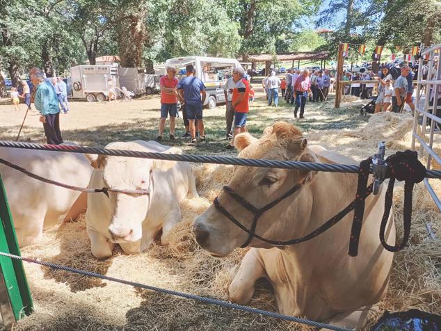 Los sobanos se vuelcan con la 32 edición de su día grande