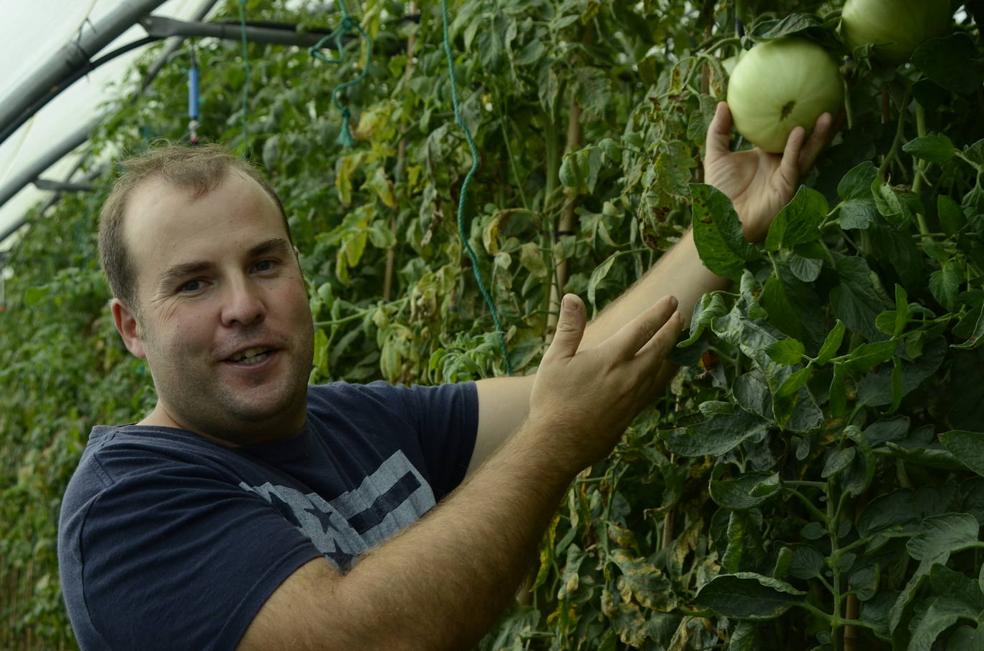 En Cantabria sí que hay tomate del bueno