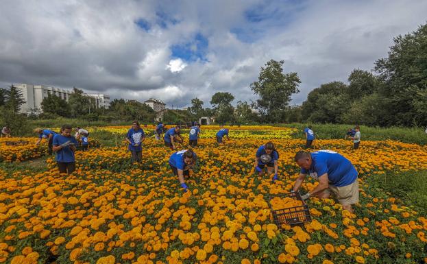 Laredo inicia la cuenta atrás para festejar la 111 edición de la Batalla de Flores