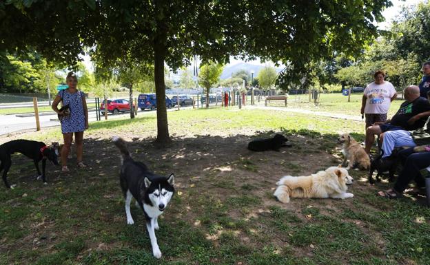 Los perros podrán pasear sueltos en los parques Manuel Barquín y La Barquera