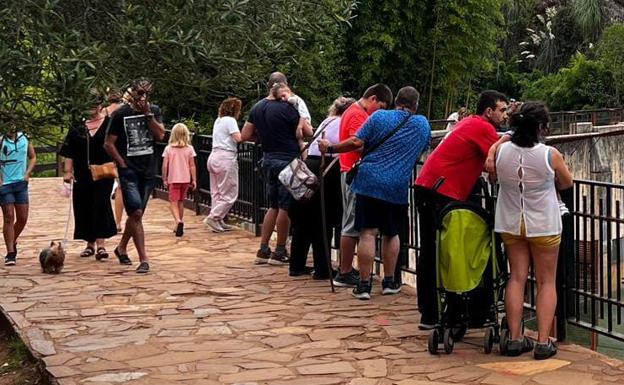 Los niños hasta diez años entrarán gratis al Parque de Cabárceno