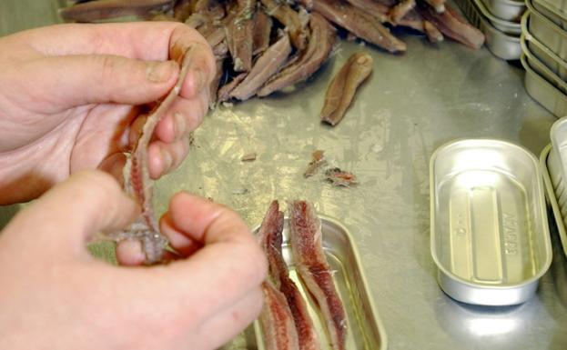 Semana de la anchoa en el IES Fuente Fresnedo de Laredo