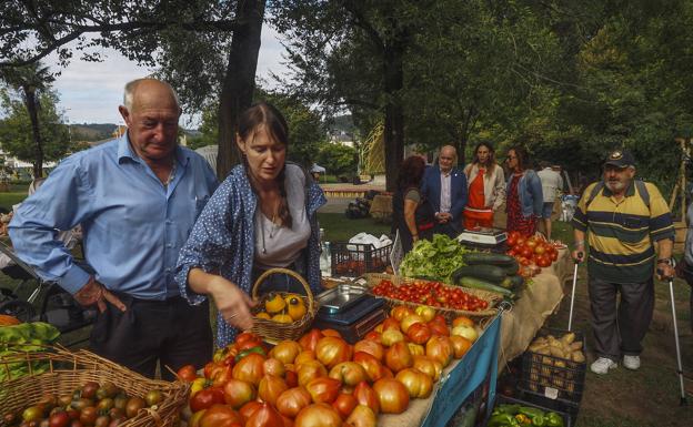 Torrelavega se da un festín de más de mil variedades de tomate