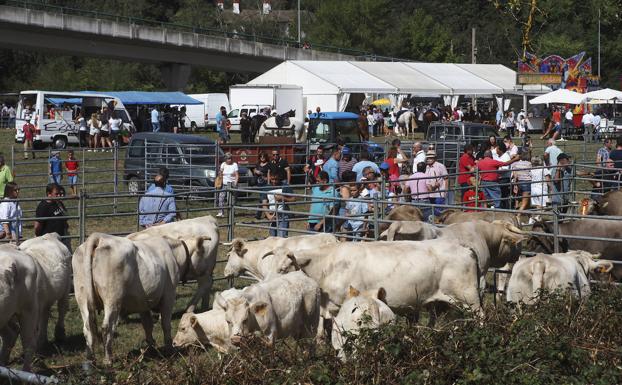 Molledo concentra a más de 700 cabezas de ganado en su feria anual