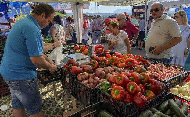 Si te gustan los pimientos, tienes que ir a Isla antes del día 25