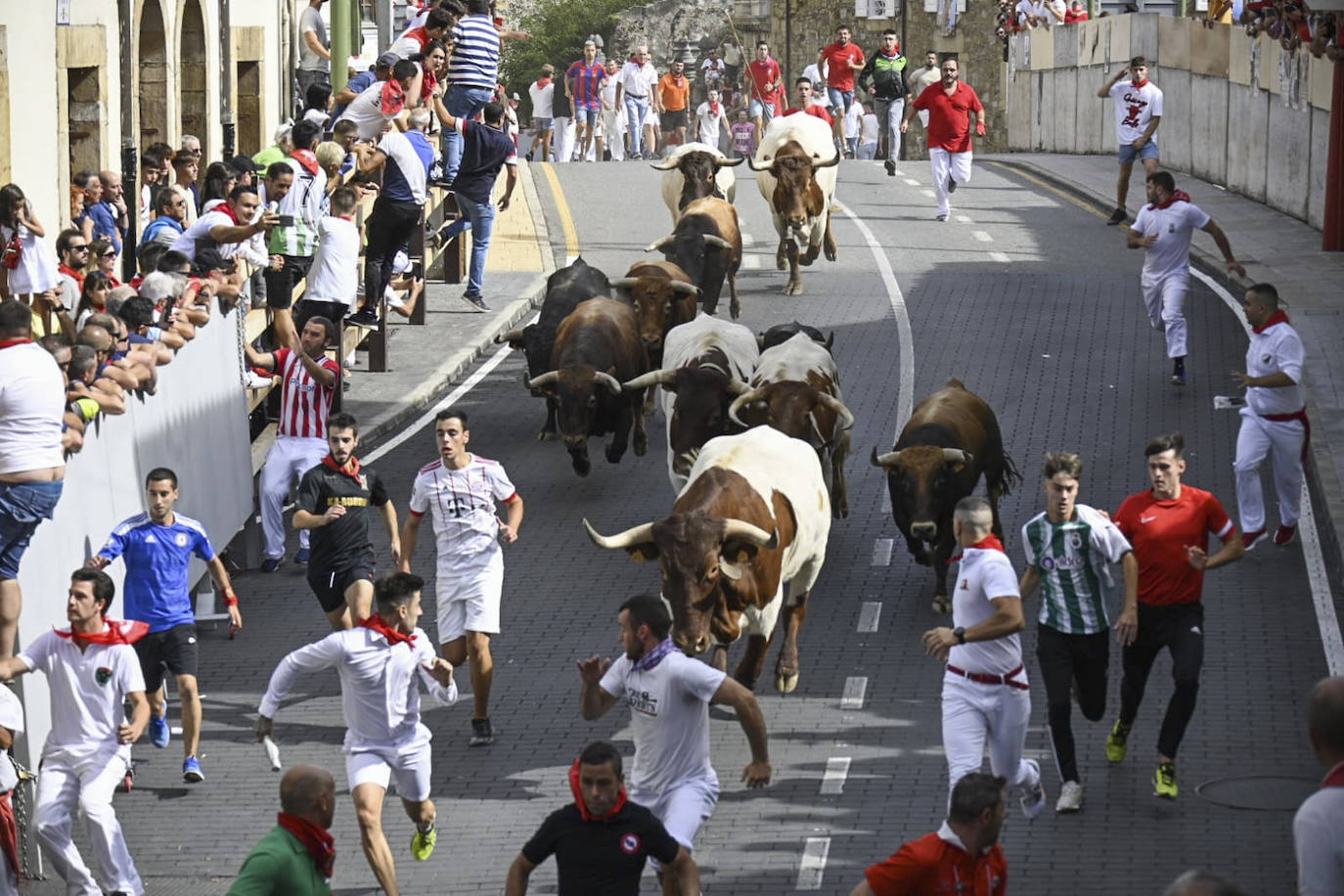 Un encierro limpio y sin heridos de consideración abre las fiestas de Ampuero