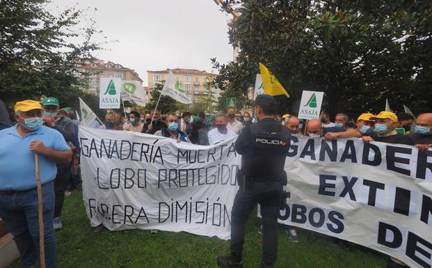 Cantabria, Castilla y León, Galicia y Asturias piden a Bruselas que reconsidere la prohibición de cazar al lobo