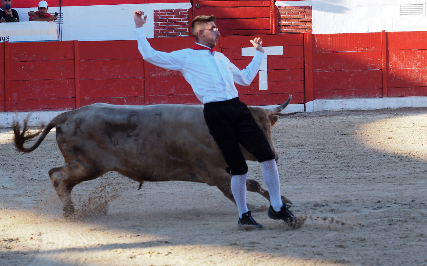 Imágenes del concurso de recortadores de Ampuero