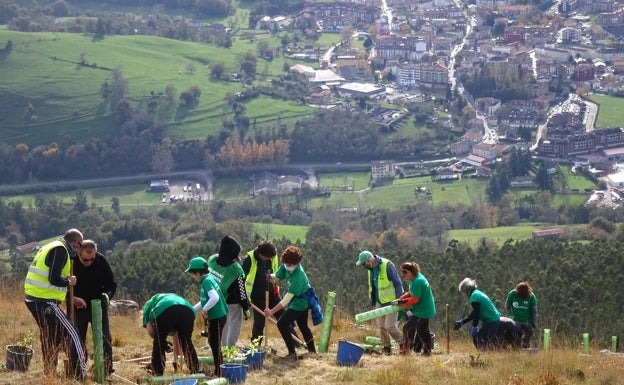 Jornada de voluntariado para reforestar la Sierra de Ramales