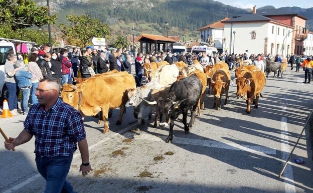 San Felices busca organizador para su Feria de Ganado