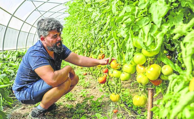 «Liébana tiene un potencial tremendo en hortalizas»