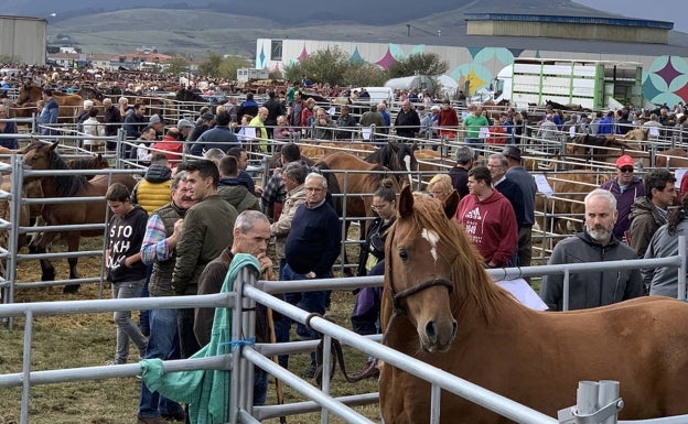 Reinosa se prepara para vivir la Feria de San Mateo