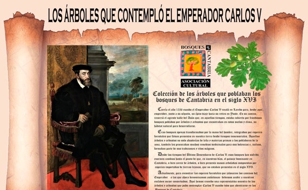 Los árboles que contempló Carlos V