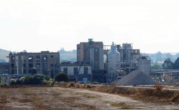 El Gobierno, pendiente de Sniace, no acudirá a las subastas de fincas