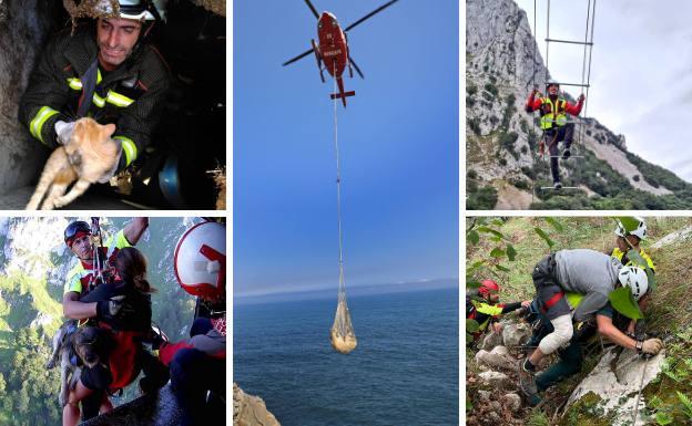 Ranking de los rescates más raros del 112 de Cantabria