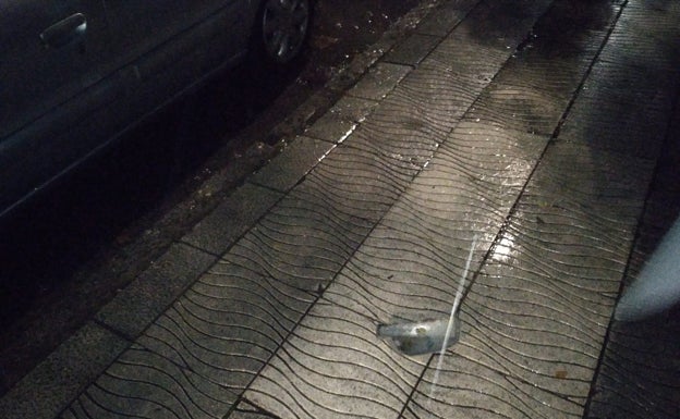 Una acción de vandalismo se salda con cinco retrovisores reventados y media docena dañados en la Avenida de España