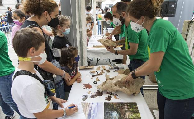 La X edición de la Noche Europea de los Investigadores UC llega este viernes a la Plaza Pombo