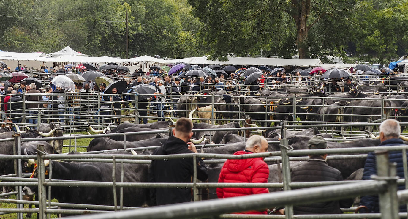 La feria de Puentenansa, en imágenes