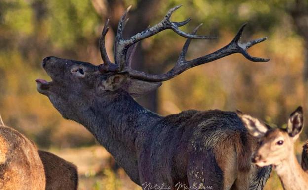 Planes en familia para conocer el mundo animal de Cantabria