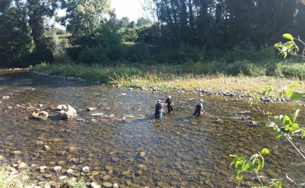 La Confederación Hidrográfica del Cantábrico consolida el cauce del río Besaya en Cartes