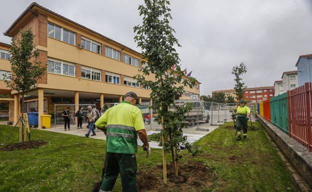 Medio Ambiente concluye la plantación de arbolado en el Colegio Menéndez Pidal