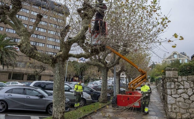 Una empresa gallega obtiene la máxima puntuación para hacerse con el contrato millonario de Parques y Jardines