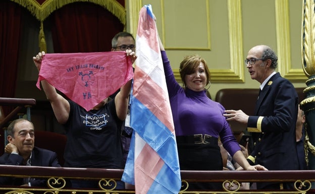 Los obispos atacan la 'ley trans' por suponer una «perversión» del sistema legislativo