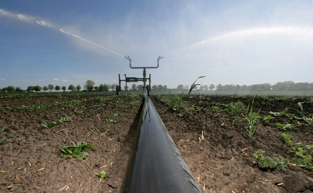 El campo necesita sensores y algoritmos frente a la sequía