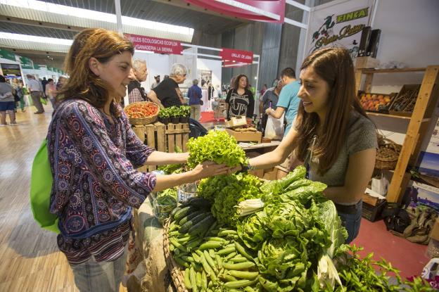 BioCantabria: 75 expositores en la feria ecológica del Palacio de Exposiciones