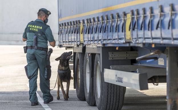 El Puerto celebra el descenso de saltos de los polizones: de veinte diarios a dos mensuales