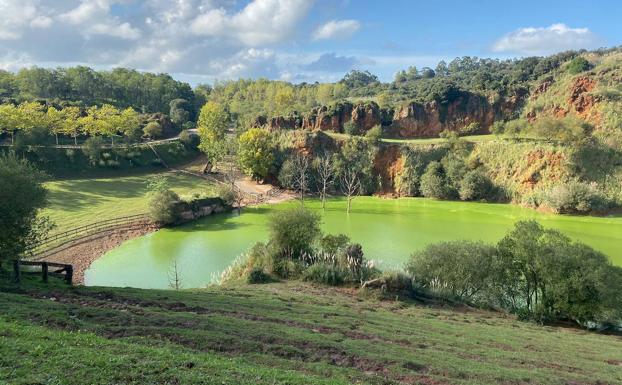 El color verde aceituna del lago de los hipopótamos de Cabárceno